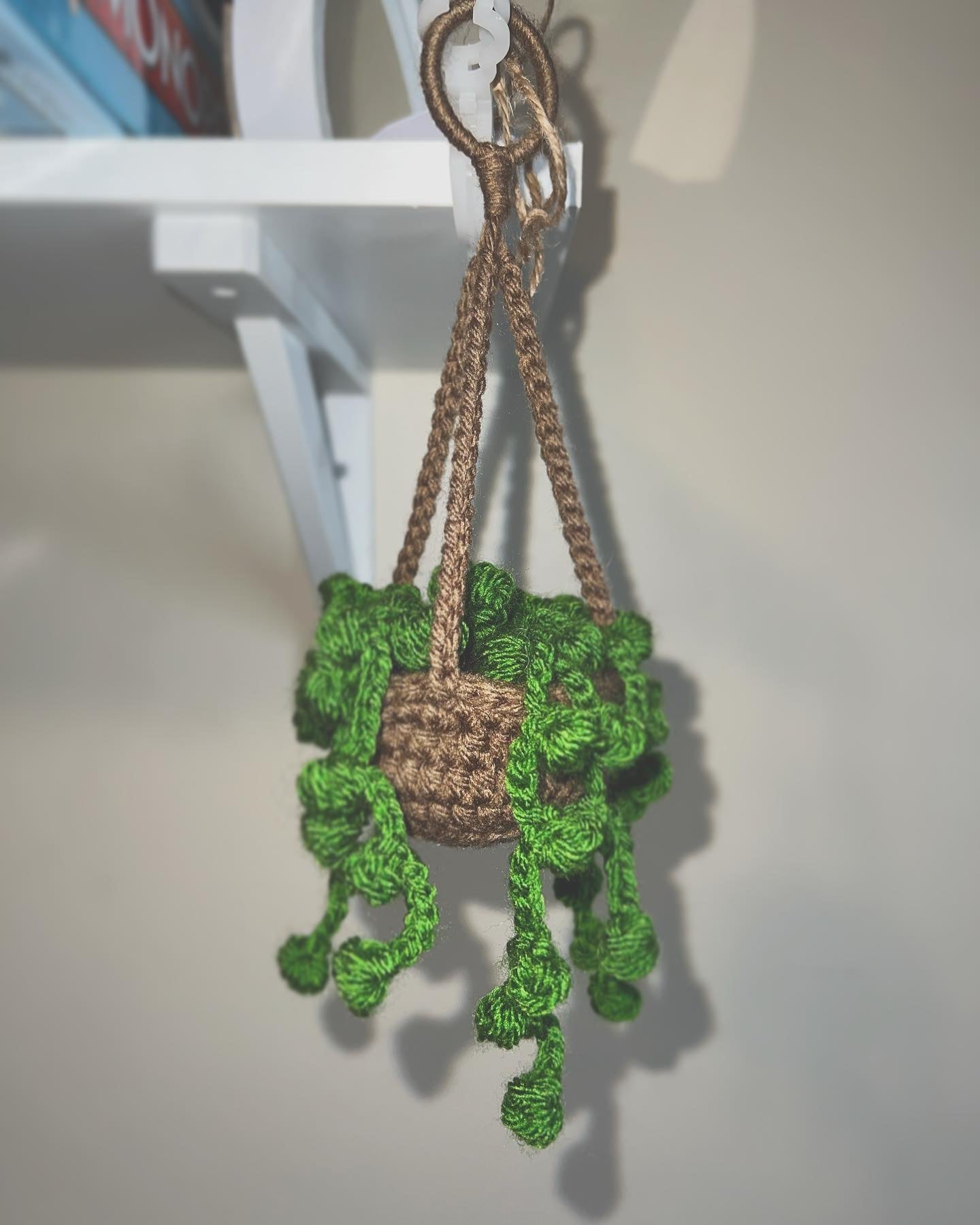 String of Pearls Hanging Plant