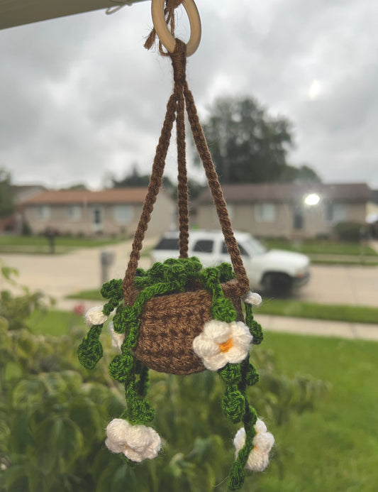 Flower Vine Hanging Plant