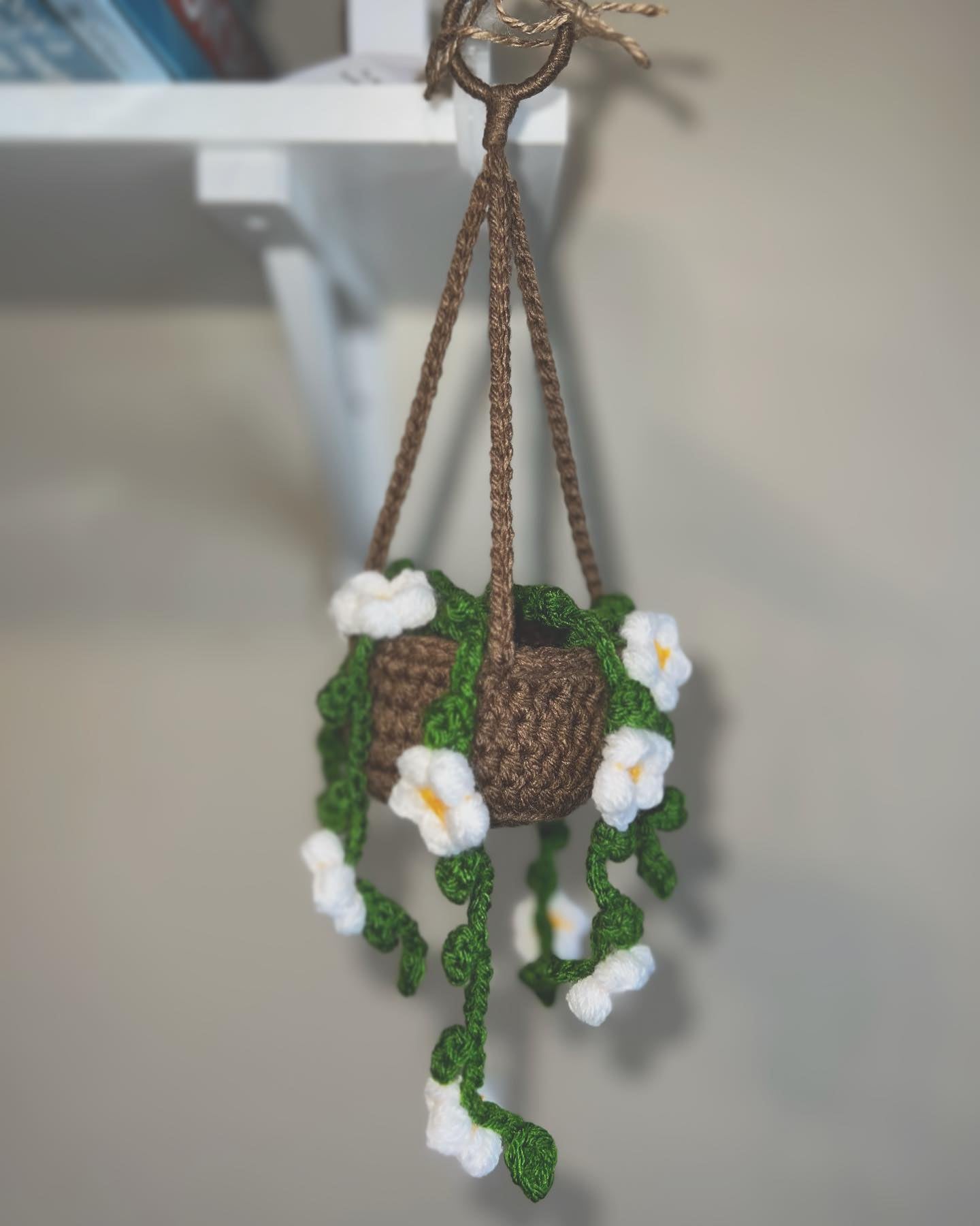 Flower Vine Hanging Plant