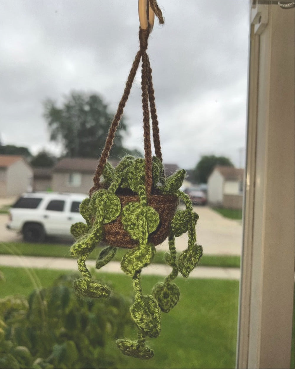 String of Hearts Hanging Plant