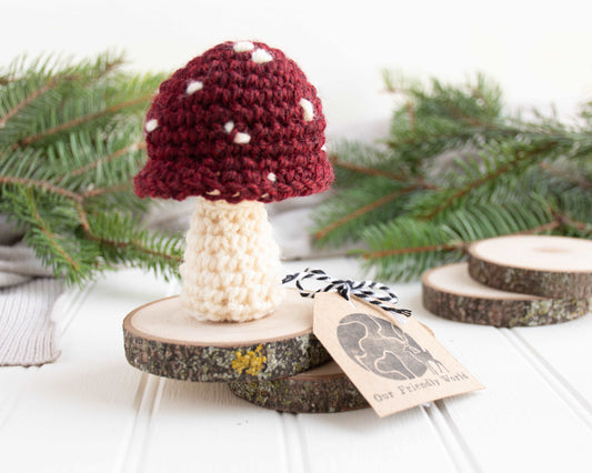 Mushroom Crochet Kit - DIY